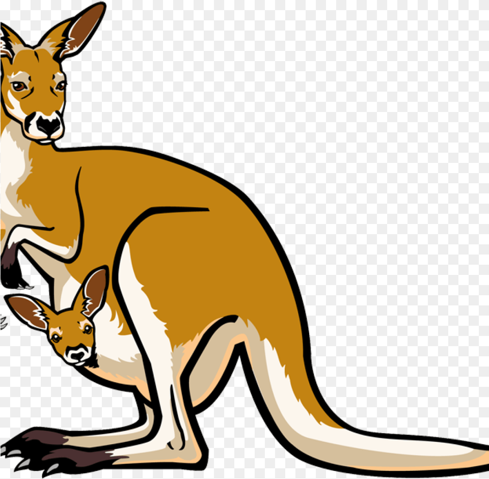 Kangaroo Clipart Santa Clipart Hatenylo Kangaroo Clipart, Animal, Mammal Free Png Download