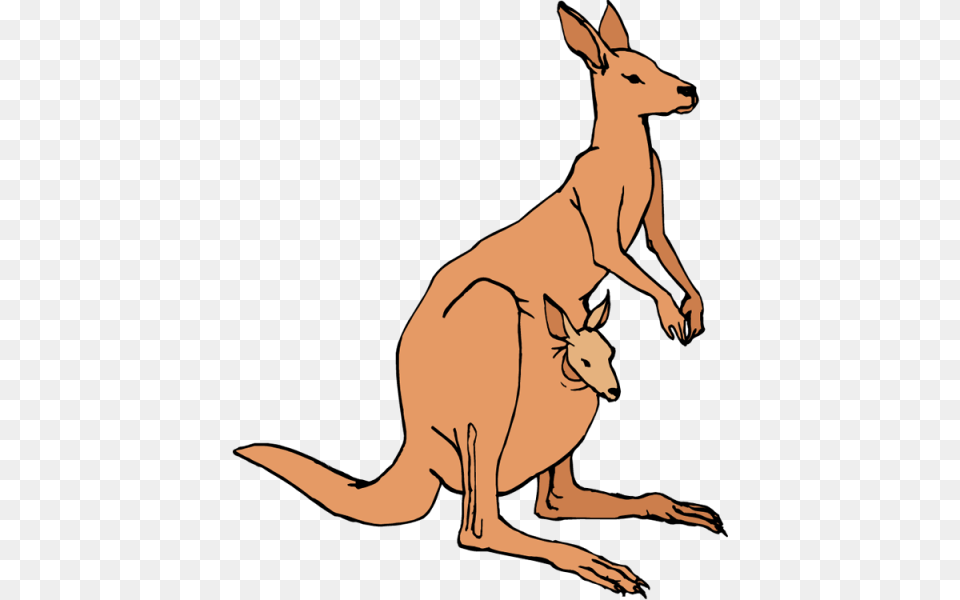 Kangaroo Clipart Transparent Background Clip Art Kangaroo, Animal, Mammal, Antelope, Wildlife Png