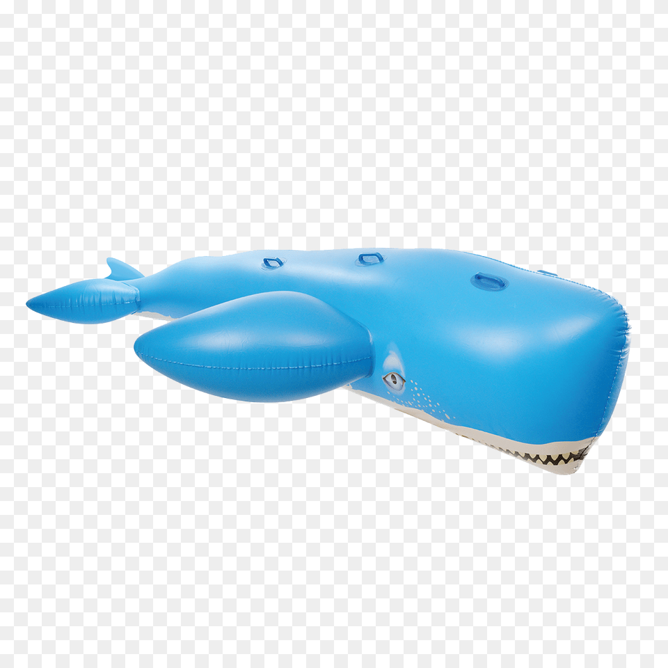 Kangaroo Giant Whale Ride On Pool Float Pool Supplies Canada, Inflatable, Animal, Fish, Sea Life Png Image