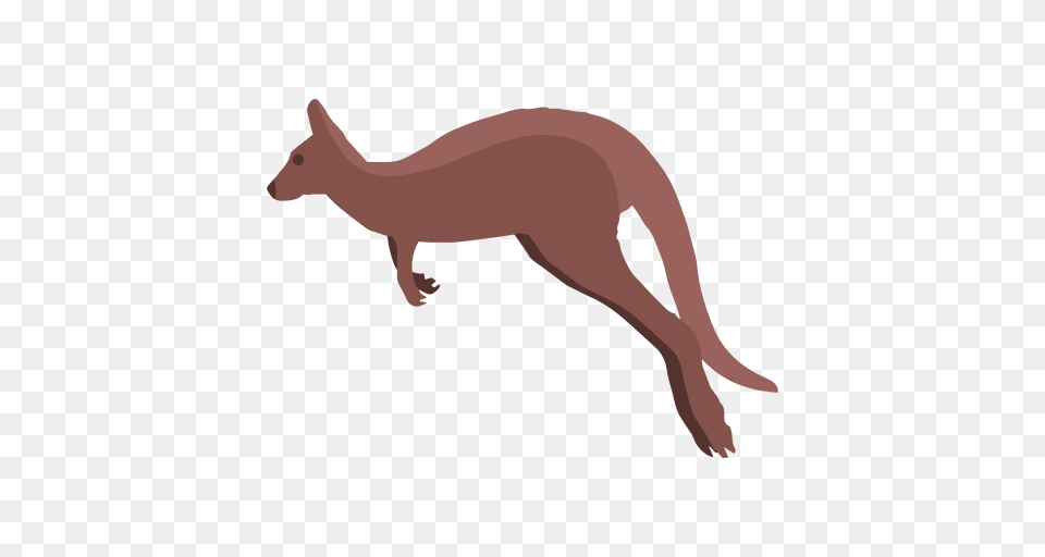 Kangaroo Jumping, Animal, Mammal, Wildlife Free Png Download