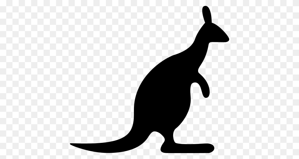 Kangaroo Looking Right Icon, Gray Free Png Download