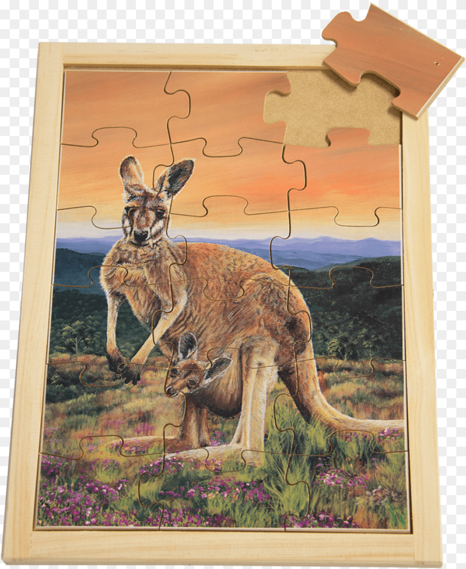 Kangaroo Puzzle Kangaroo, Animal, Mammal Free Png