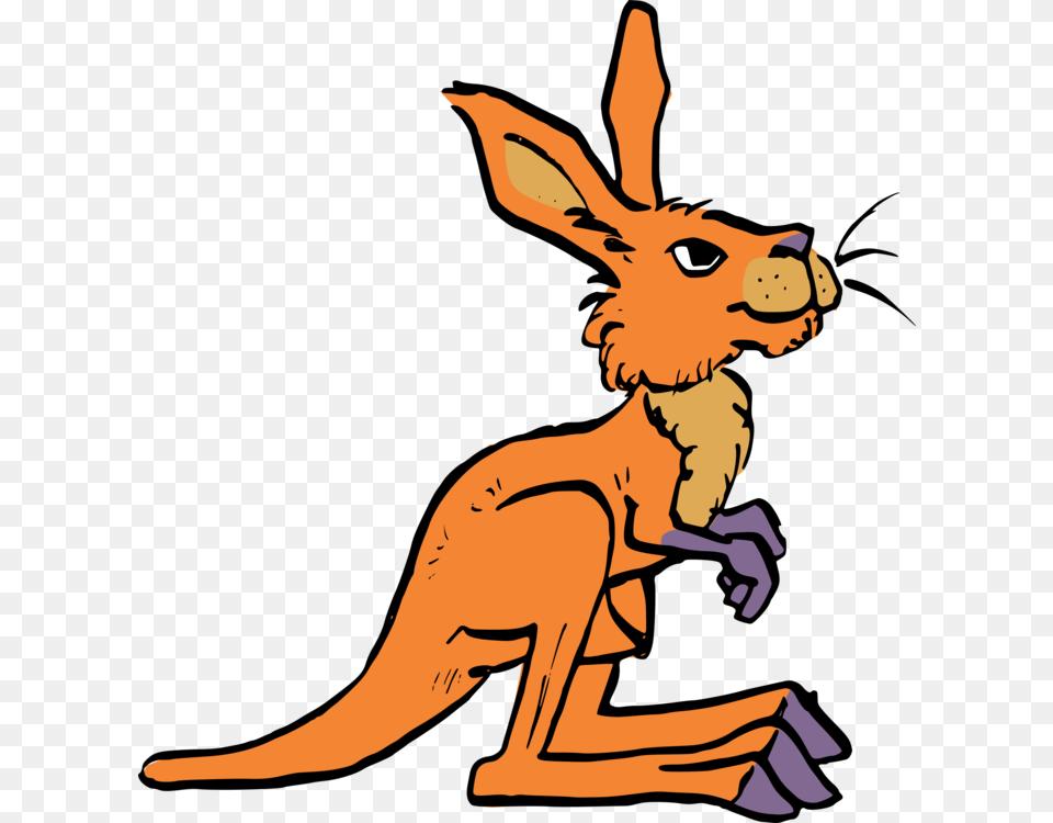 Kangaroo Rat Macropods Tail Drawing, Person, Animal, Mammal, Face Free Png