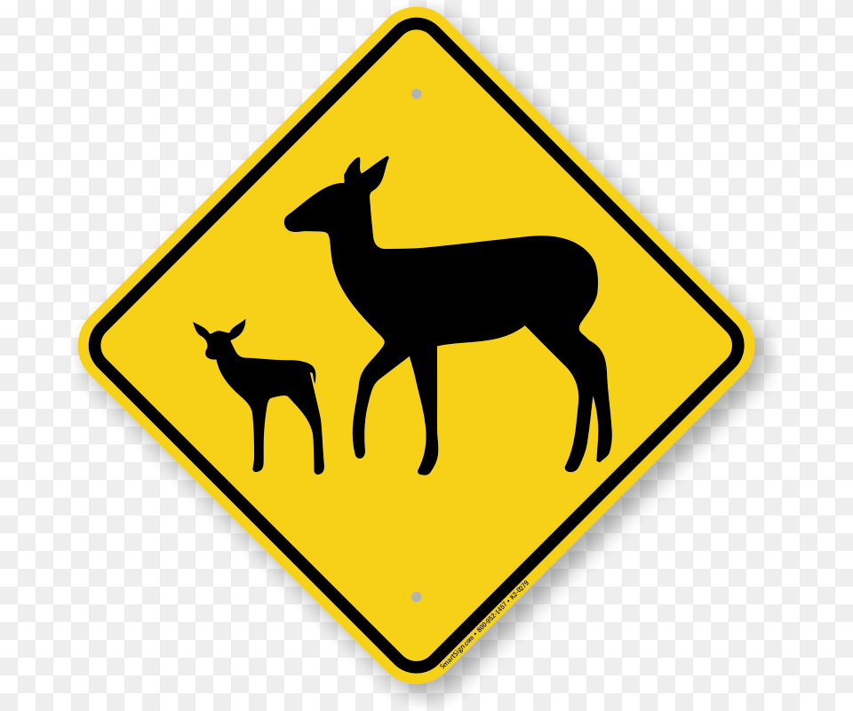Kangaroo Road Sign, Symbol, Road Sign, Animal, Antelope Free Transparent Png