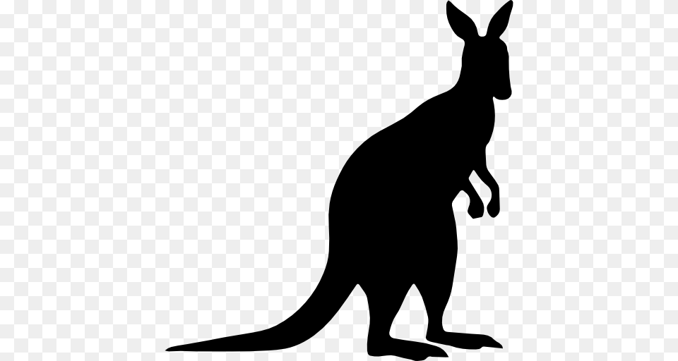 Kangaroo Shape, Animal, Mammal Free Png