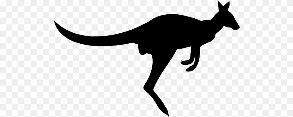 Kangaroo Silhouette Image Icon, Animal, Mammal, Bow, Weapon Free Transparent Png