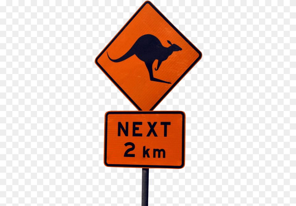 Kangaroo Warning Transparent Background, Sign, Symbol, Road Sign, Animal Png