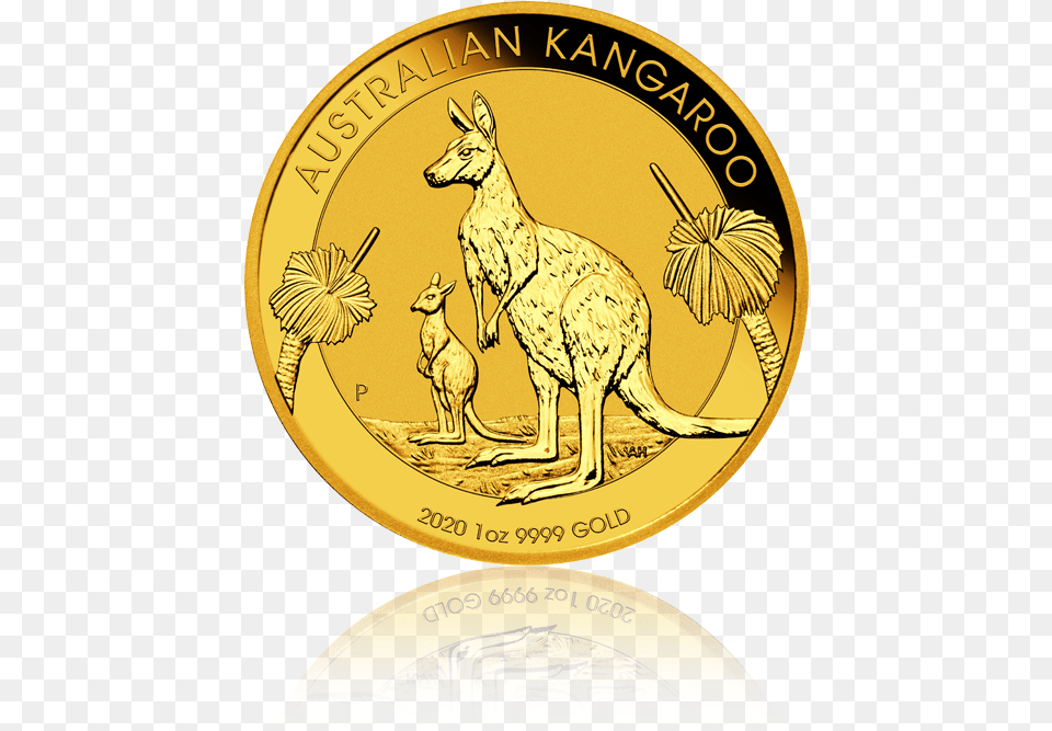 Kangaroonugget 2020 Australia 1 Oz Gold Coin Australian Kangaroo Gold Coin 2020, Animal, Mammal Free Png Download