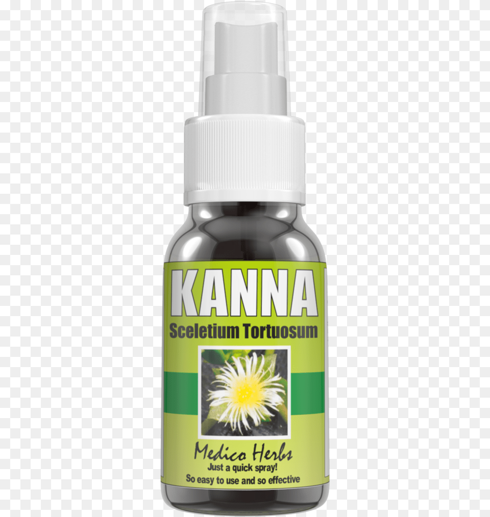 Kanna Spray, Herbal, Herbs, Plant, Flower Free Png Download