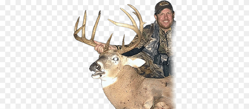 Kansas Big Buck Outfitters Elk, Animal, Deer, Mammal, Wildlife Png Image