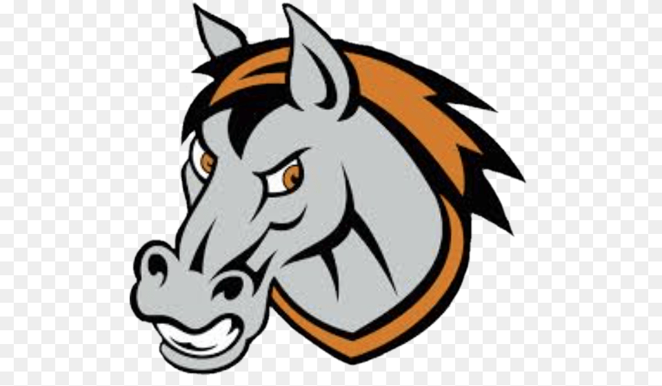 Kansas City Mavericks Horse Head, Animal, Mammal, Warthog, Wildlife Free Transparent Png