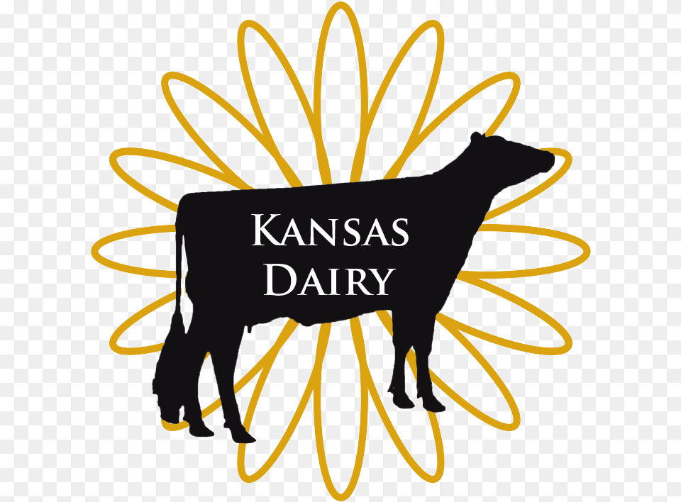 Kansas Dairy Association Indian Institute Of Information Technology Chennai, Animal, Bull, Mammal, Angus Free Png