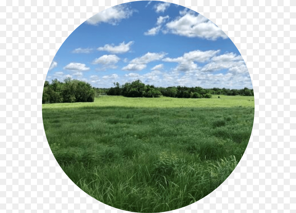 Kansas Land Trust Grass, Countryside, Rural, Photography, Pasture Png