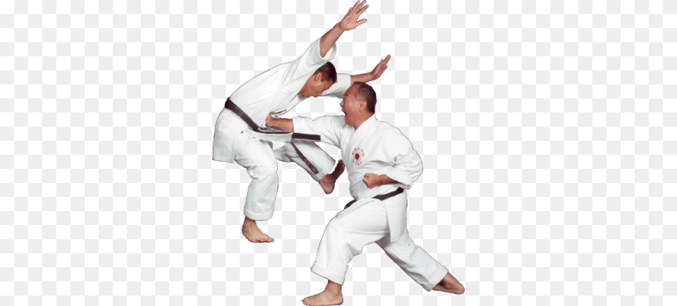 Karate, Martial Arts, Person, Sport, Adult Free Png