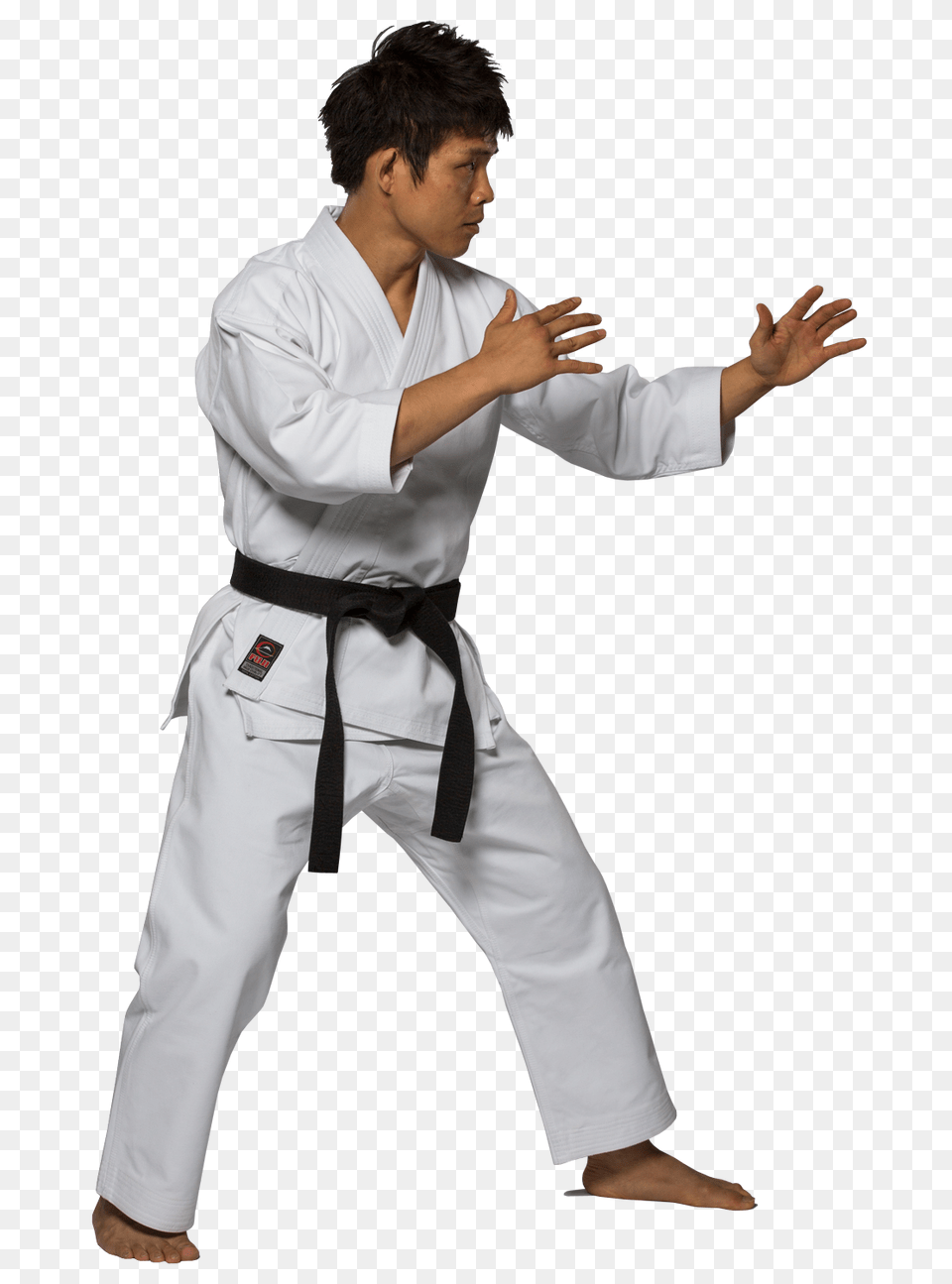 Karate, Martial Arts, Person, Sport, Adult Free Transparent Png