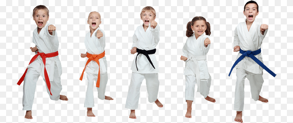 Karate, Sport, Person, Martial Arts, Girl Free Transparent Png