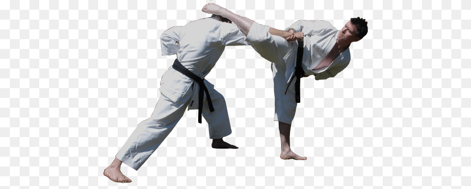 Karate, Adult, Male, Man, Person Free Png