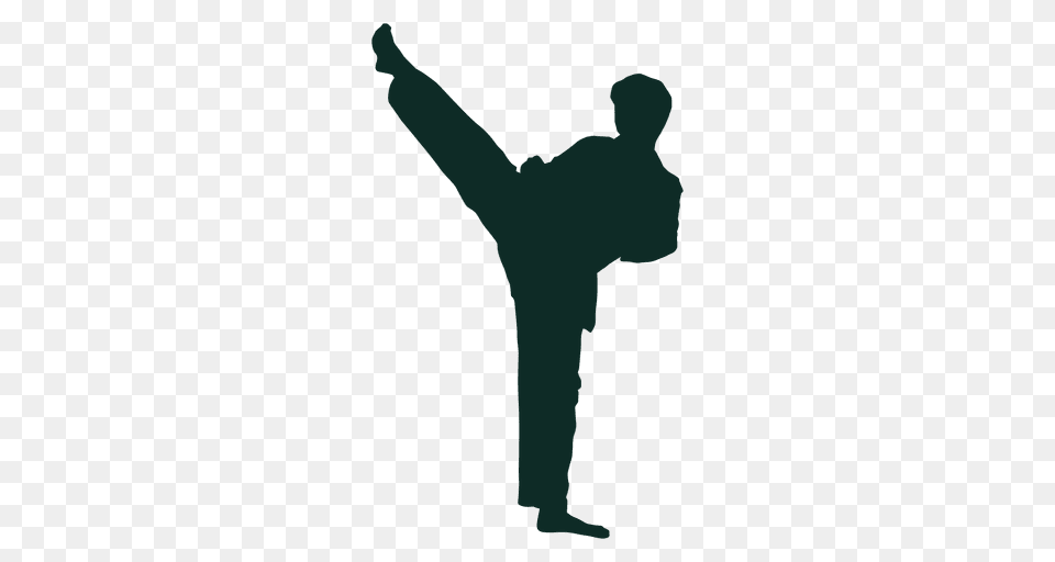 Karate, Adult, Male, Man, Person Png Image