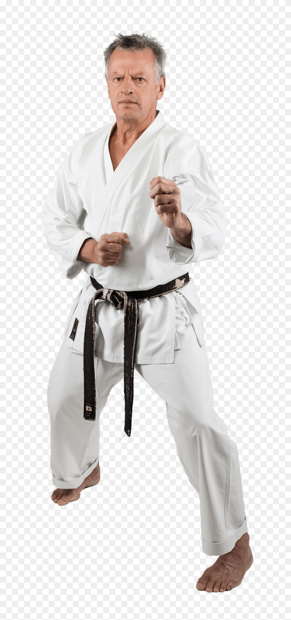 Karate, Adult, Person, Martial Arts, Man Free Png Download