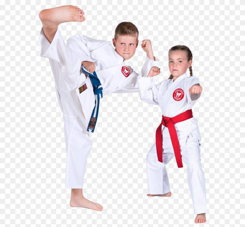 Karate, Sport, Person, Martial Arts, Male Free Png