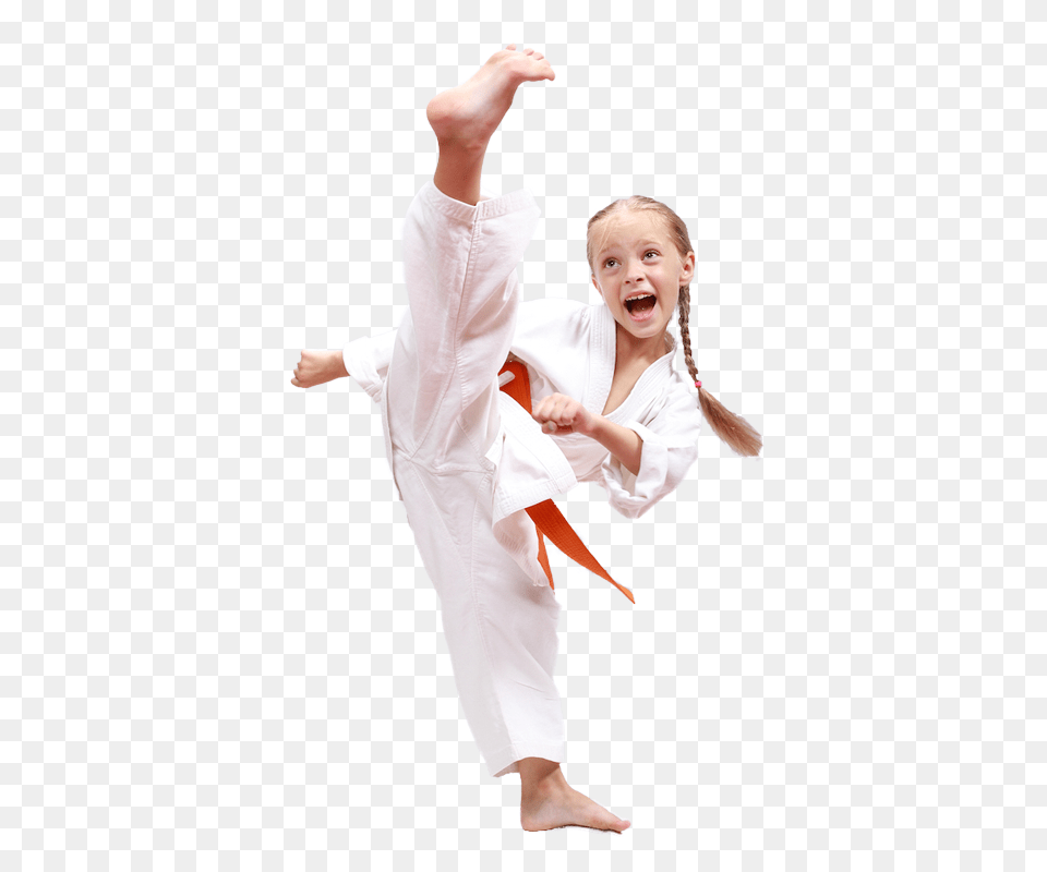 Karate, Sport, Person, Martial Arts, Adult Free Png