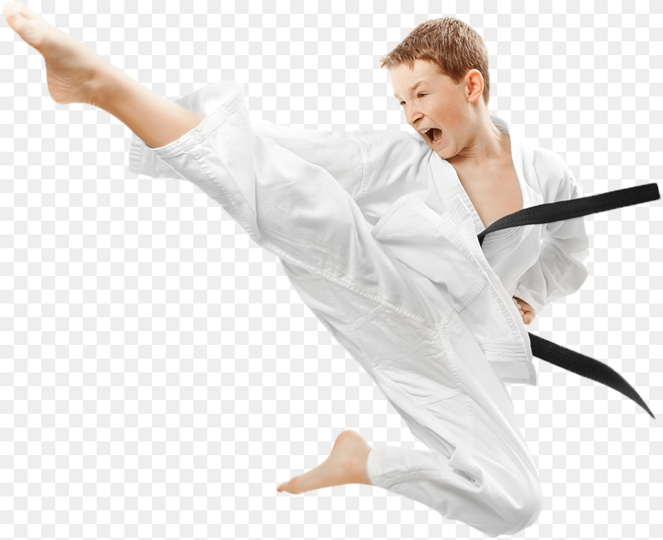 Karate, Sport, Person, Martial Arts, Man Png Image