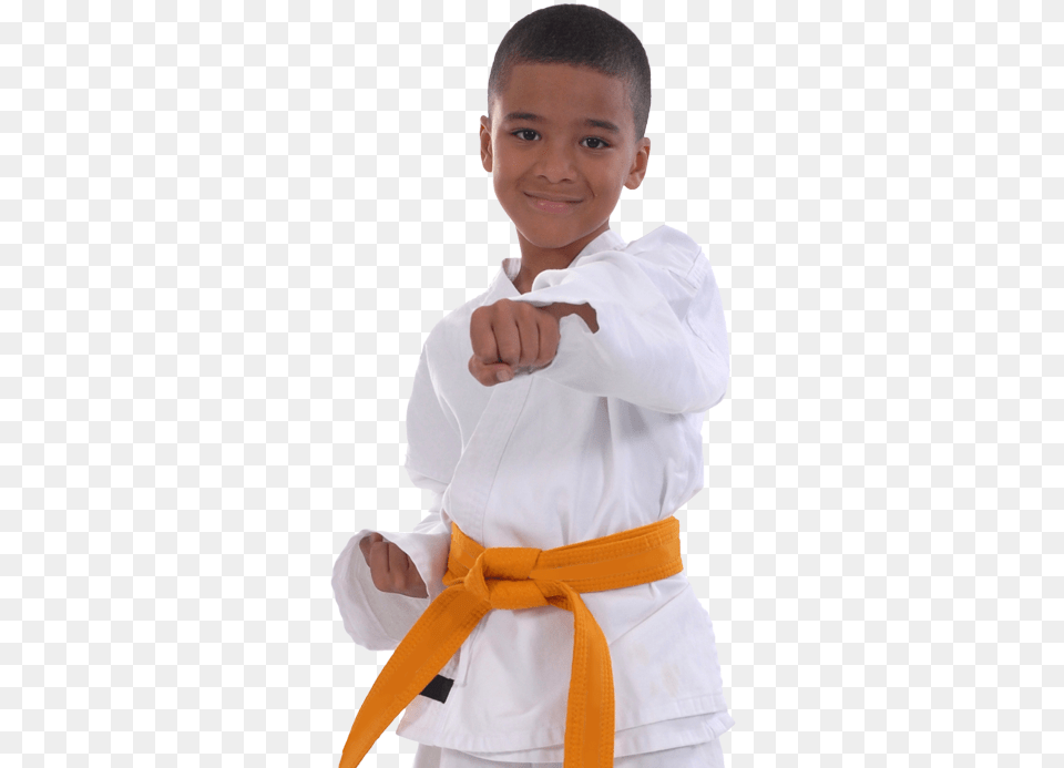 Karate, Sport, Person, Martial Arts, Male Free Png