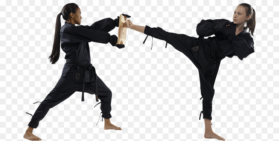 Karate, Adult, Female, Person, Woman Png Image