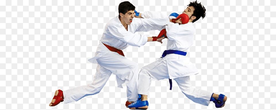 Karate, Adult, Person, Martial Arts, Man Free Png