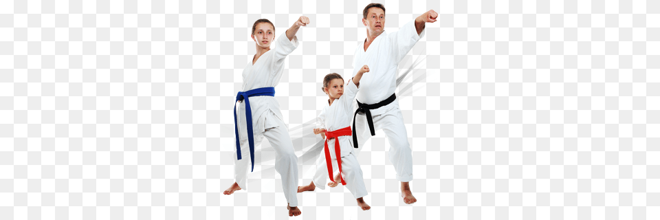 Karate, Sport, Person, Martial Arts, Adult Png Image