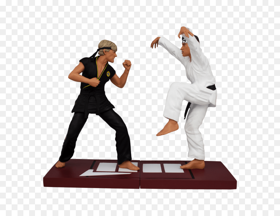 Karate All Icon Heroes Karate Kid, Adult, Person, Man, Male Free Transparent Png