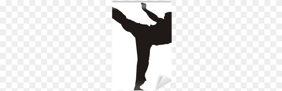 Karate Fighter Kicking Happy Birthday Martial Arts, Martial Arts, Person, Sport, Adult Free Png
