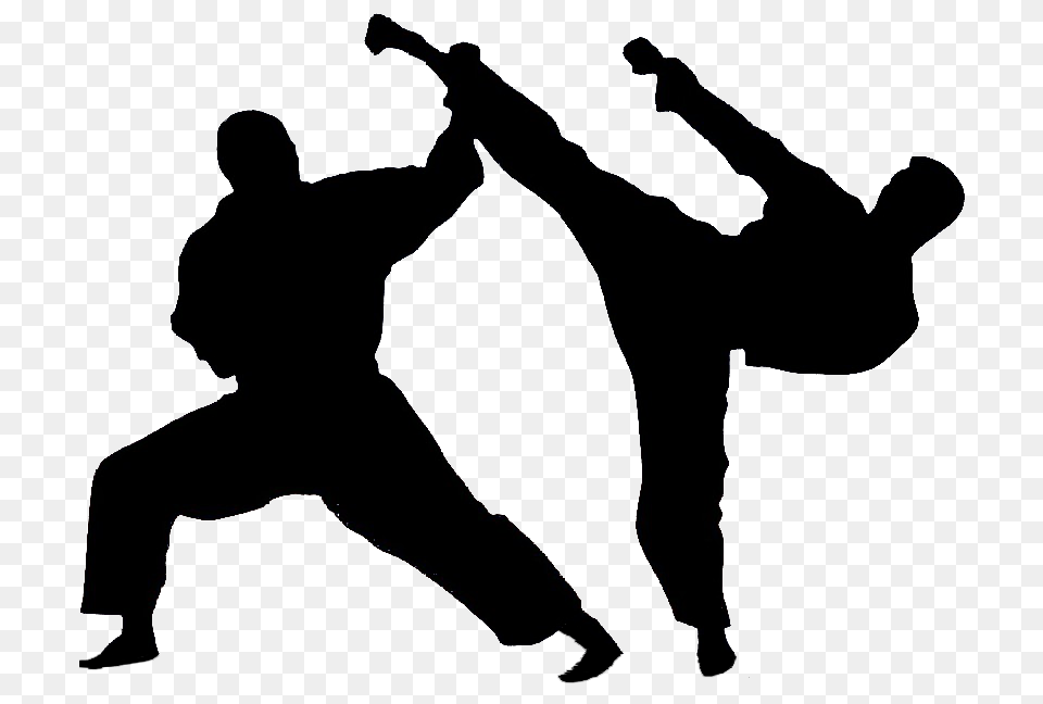 Karate Arts, Martial Arts, Person, Sport Free Png