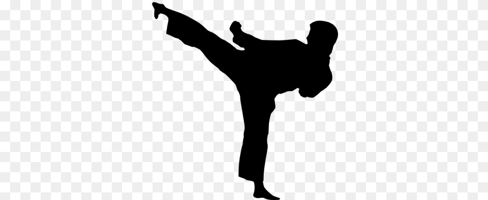 Karate Kaufmann39s Karate Black Belts Karate Silhouette, Gray Free Png Download