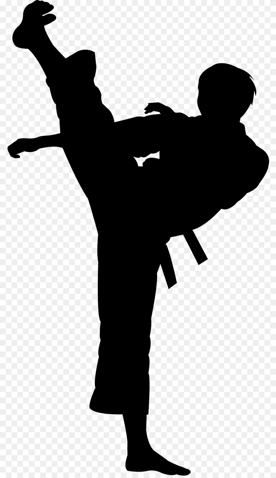 Karate Kick Silhouette, Martial Arts, Person, Sport, Adult Png