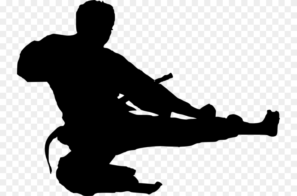 Karate Silhouette, Adult, Male, Man, Person Free Transparent Png