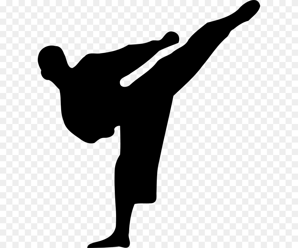 Karate Silhouette, Gray Png