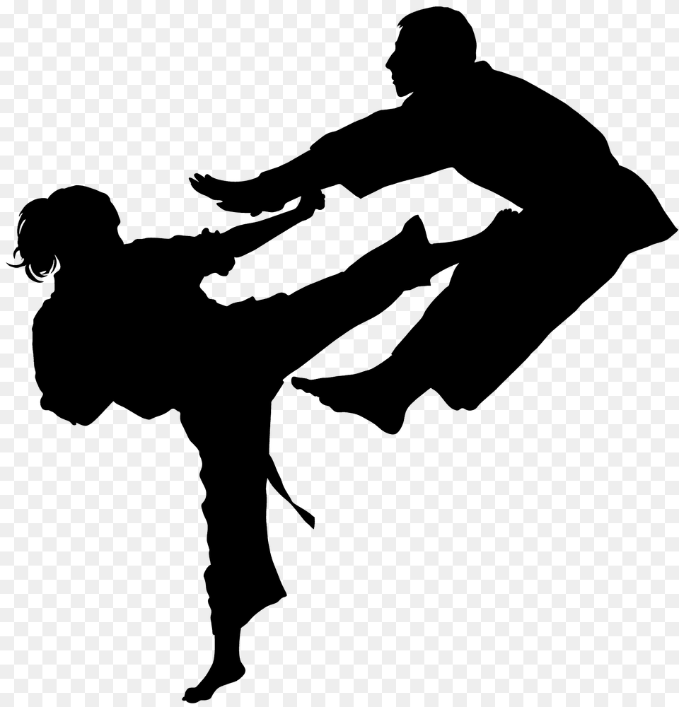 Karate Silhouette, Adult, Male, Man, Person Free Transparent Png