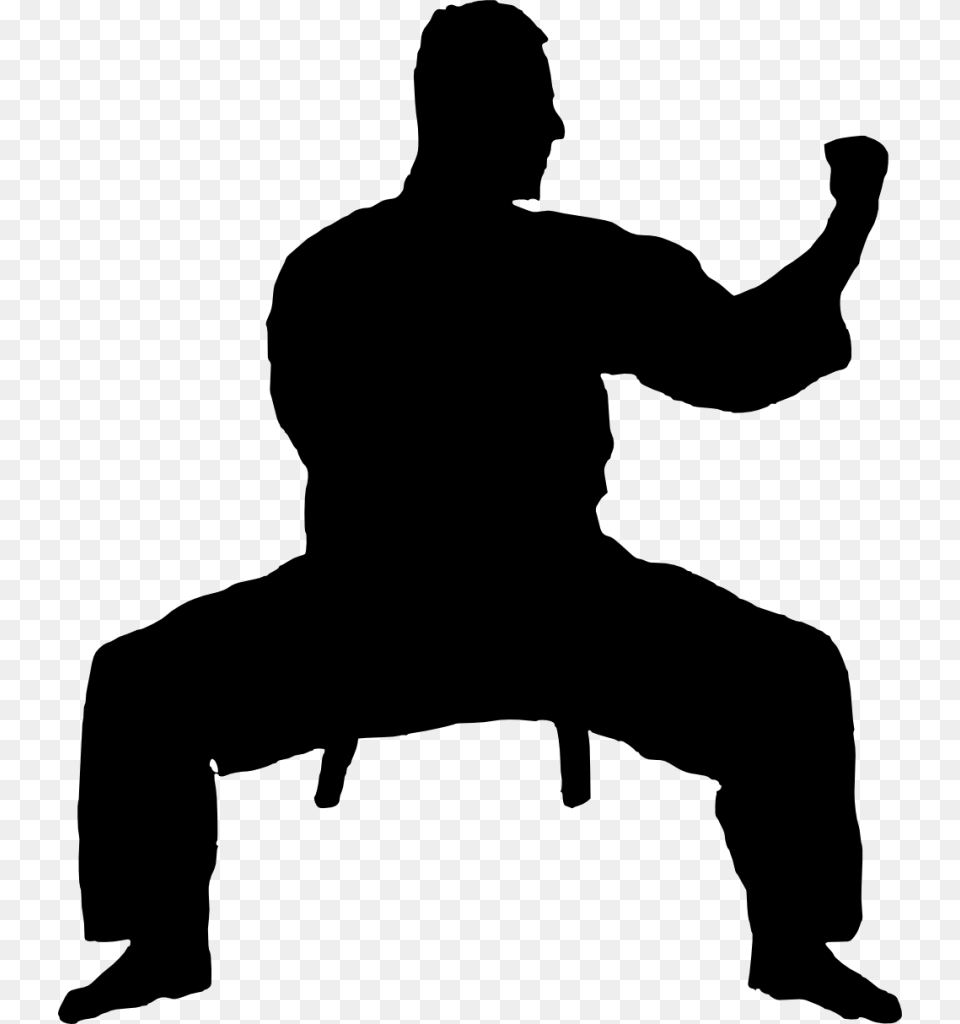 Karate Silhouette Images Transparent Karate Silhouette, Gray Png Image