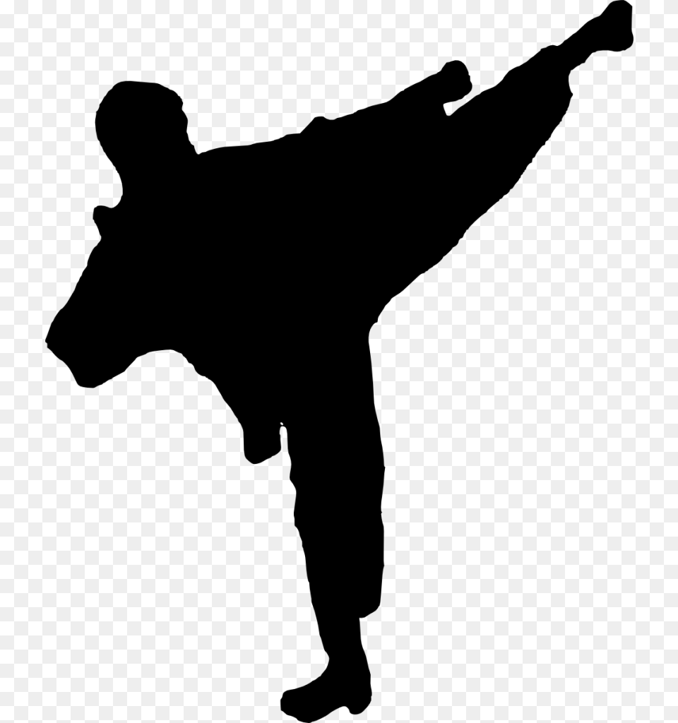 Karate Silhouette Kung Fu Vector, Gray Png Image