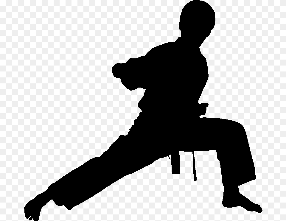 Karate Silhouette Martial Arts Silhouette, Gray Free Png Download