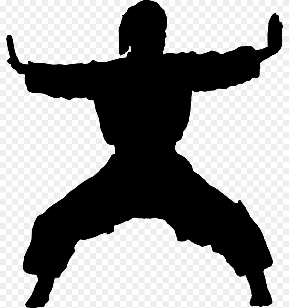 Karate Silhouette Silhouette Martial Arts Bg, Gray Free Transparent Png