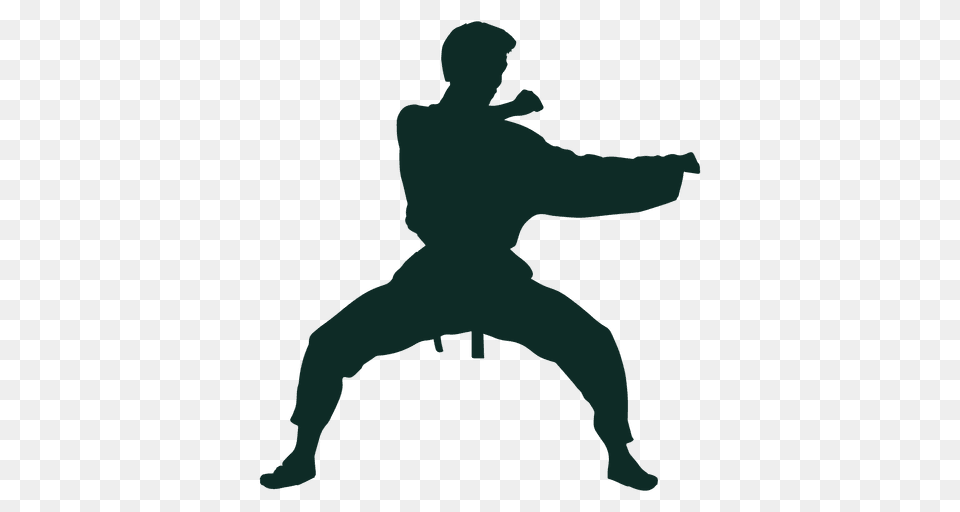 Karate Stance Training, Adult, Male, Man, Person Png