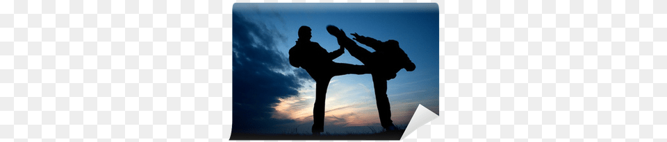 Karate Training In Evening Evening, Adult, Male, Man, Martial Arts Free Png Download