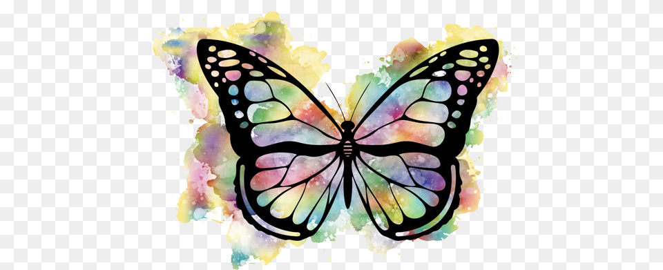 Karla Alvarez Colorful Watercolor Butterfly, Art, Graphics, Animal, Insect Png Image