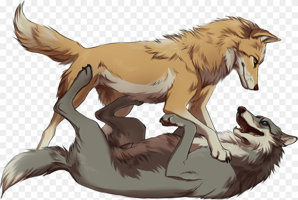 Kate And Humphrey Alpha And Omega Fanart, Animal, Mammal, Wolf, Person Free Png