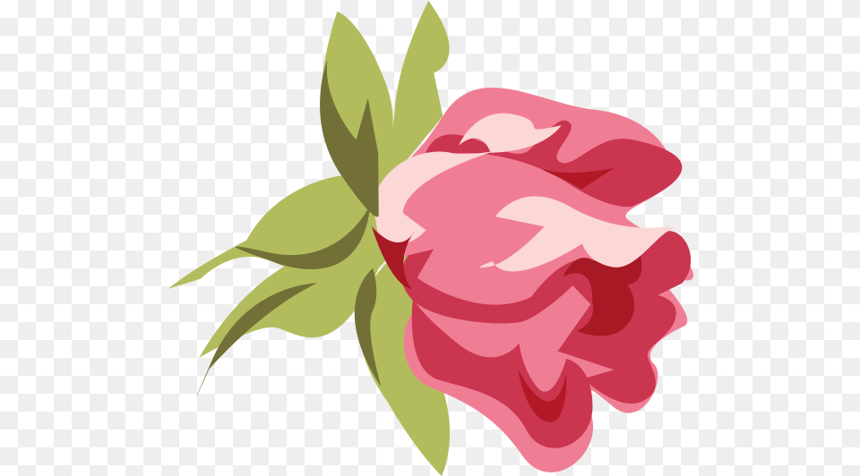 Kath Kidson Like Pink Roses Rose Shabby Chic, Flower, Petal, Plant, Carnation Png