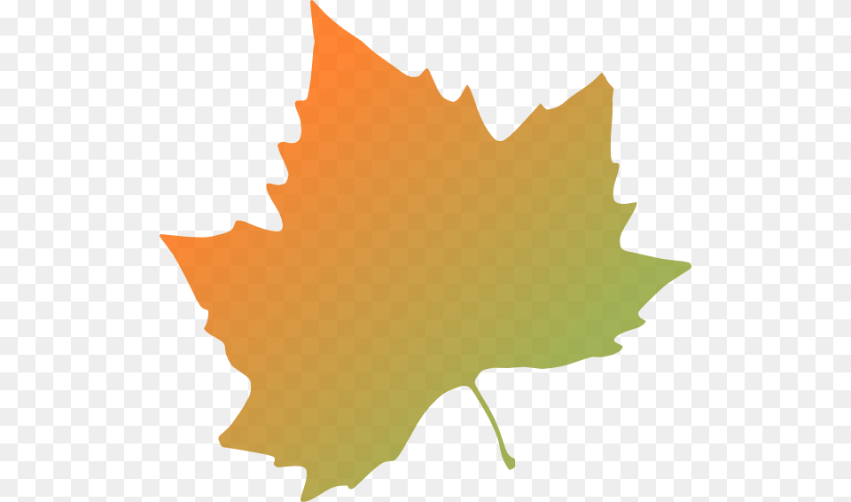 Kattekrab Plane Tree Autumn Leaf Clip Art, Maple Leaf, Plant, Animal, Fish Free Png