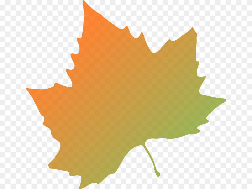 Kattekrab Plane Tree Autumn Leaf Svg Clip Arts Autumn Leaves Clip Art, Maple Leaf, Plant, Person, Face Png Image