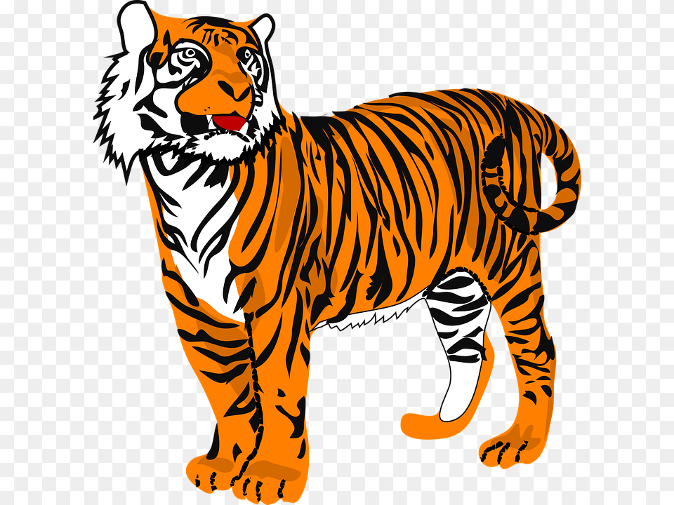 Katze Clipart Animated Pictures Of Tiger, Animal, Mammal, Wildlife Png Image